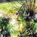 Aquarelles 2024 et 2025 sur le motif